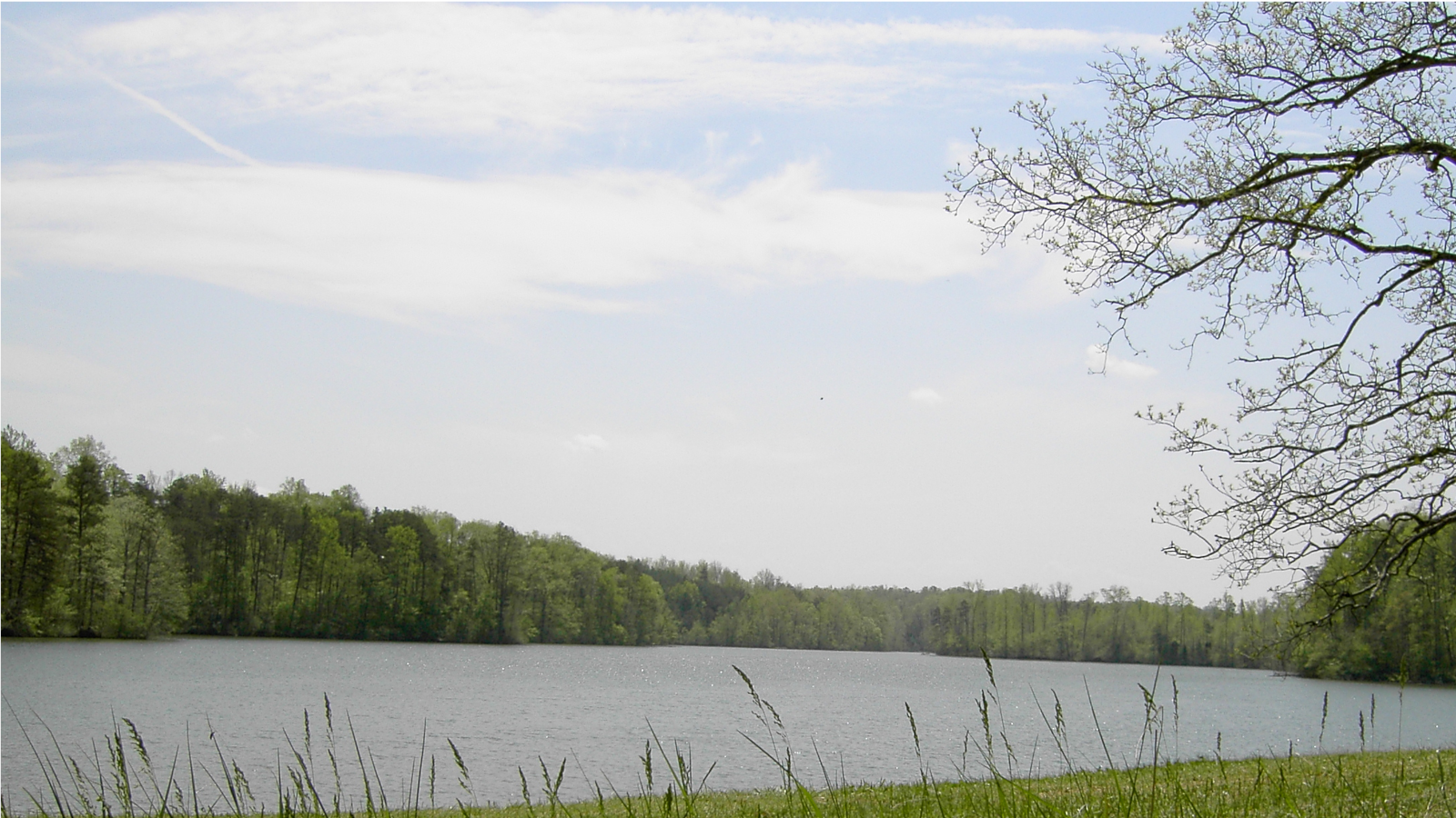 Lake